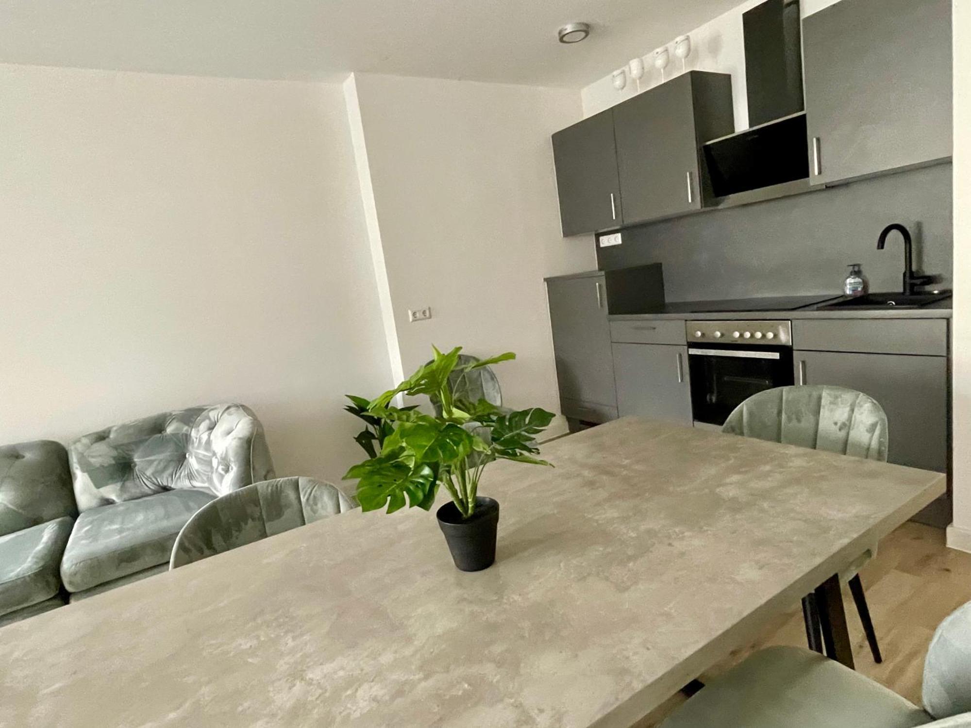 Neu Goldstadt Wunderschoenes 2 Zimmer Apartament Schloessle Zentrum 普福尔茨海姆 外观 照片